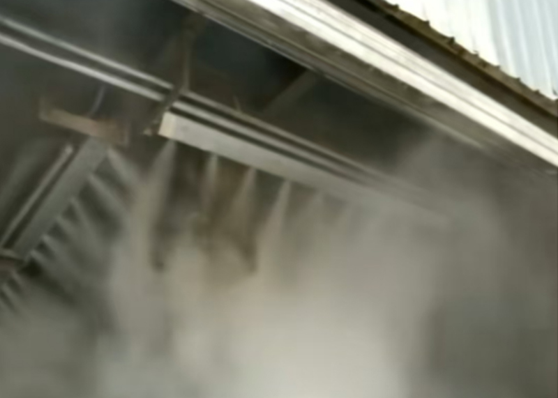 ����������ʪ������