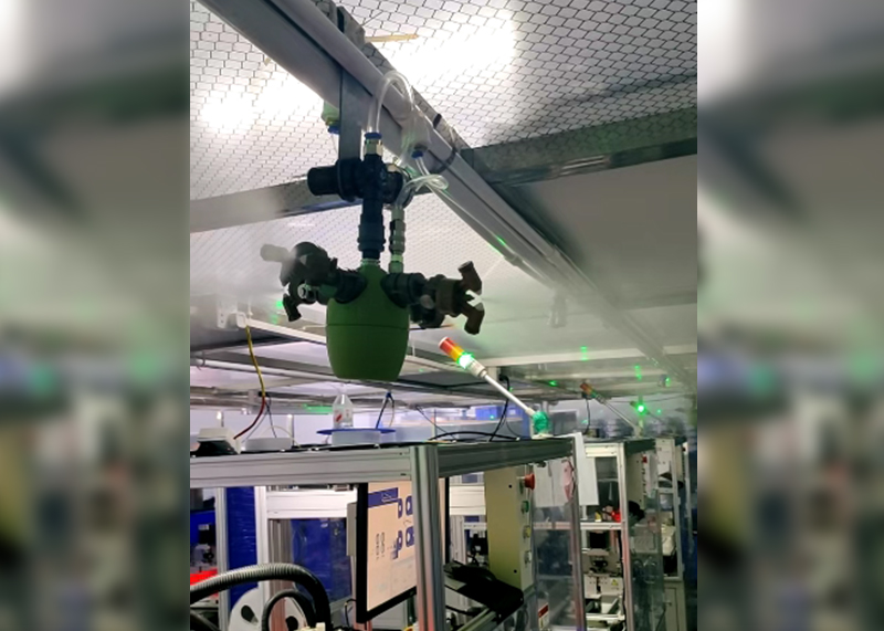 ����������ʪ������